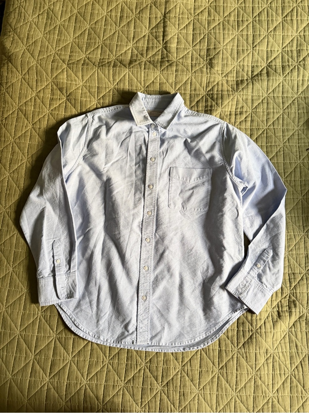 Everlane • Relaxed Oxford Shirt